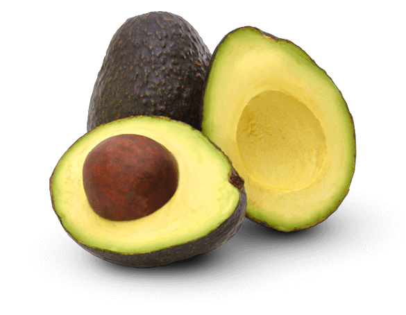 Image result for AVOCADO