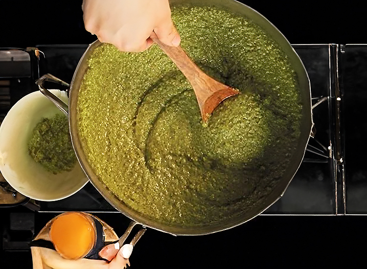 Avocado Chicken Mole Verde