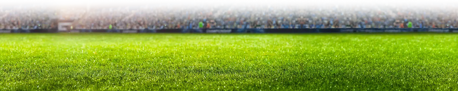 Soccer field