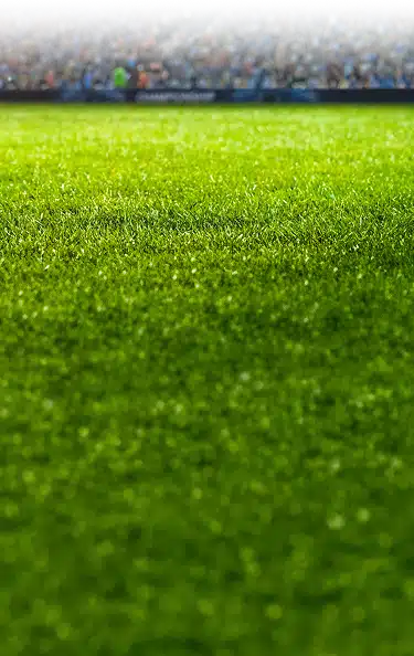 Soccer field